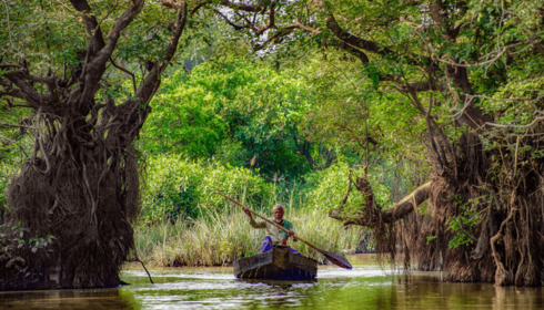 Sundarban Trip: Explore the Mangrove Marvels of India